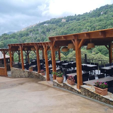 A Costa Hotel Venzolasca Ngoại thất bức ảnh